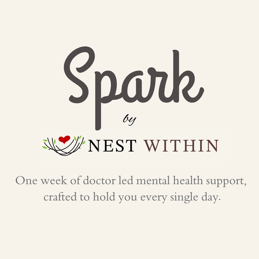 SPARK - ONE WEEK SUPPORT